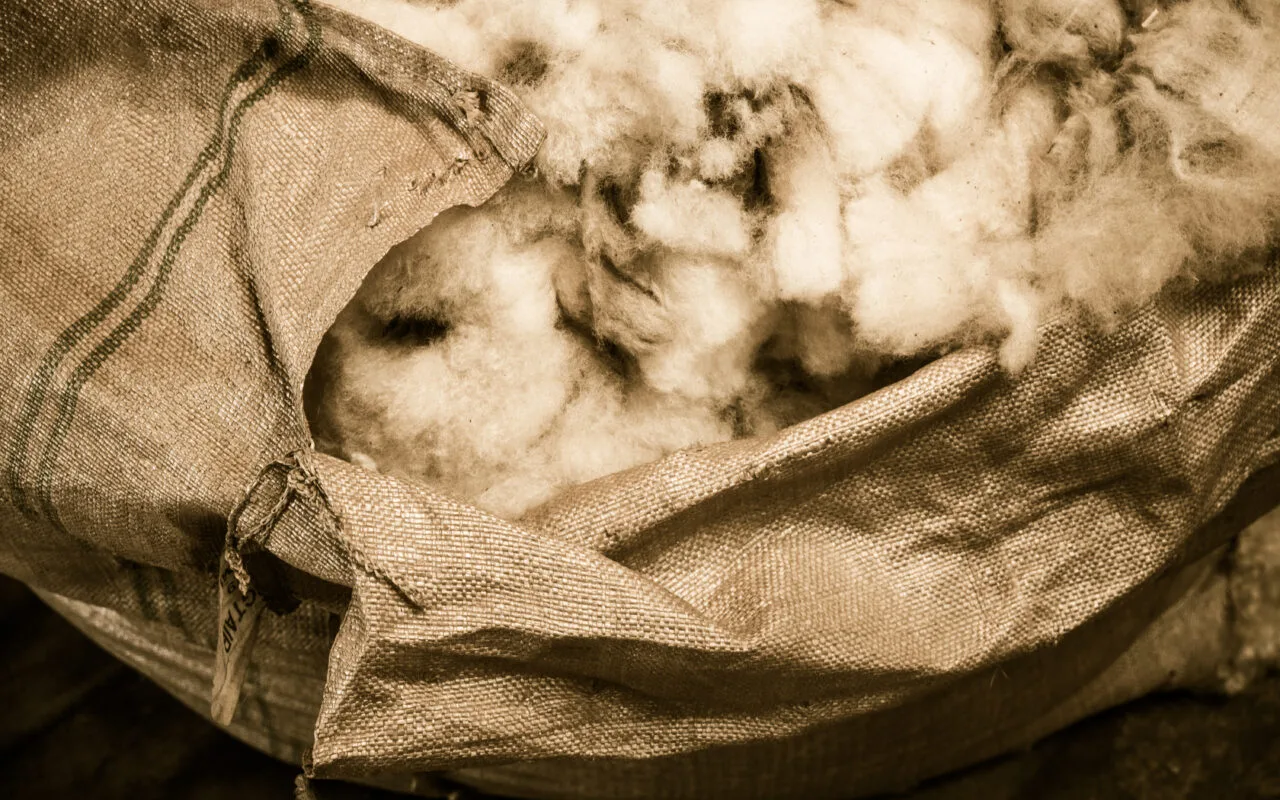 What you need to know about wool fat and lanolin